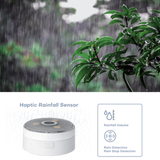 Ecowitt WittBoy with Sonic Anemometer, Haptic Rain Gauge & Gateway